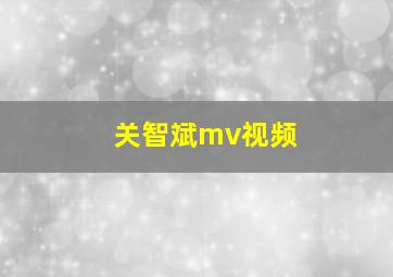 关智斌mv视频