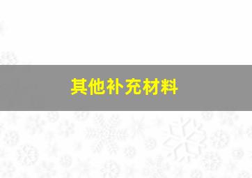 其他补充材料