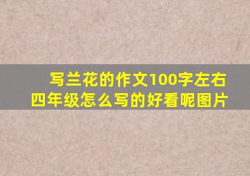 写兰花的作文100字左右四年级怎么写的好看呢图片