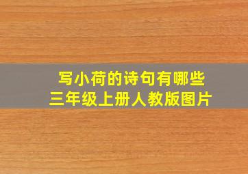 写小荷的诗句有哪些三年级上册人教版图片