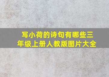 写小荷的诗句有哪些三年级上册人教版图片大全