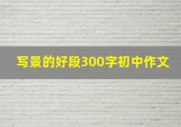 写景的好段300字初中作文