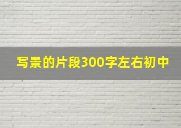 写景的片段300字左右初中