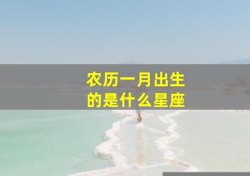 农历一月出生的是什么星座