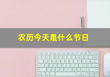 农历今天是什么节日