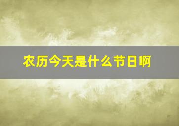 农历今天是什么节日啊