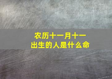 农历十一月十一出生的人是什么命