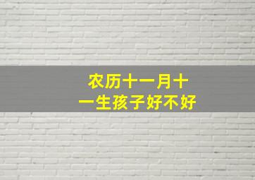 农历十一月十一生孩子好不好