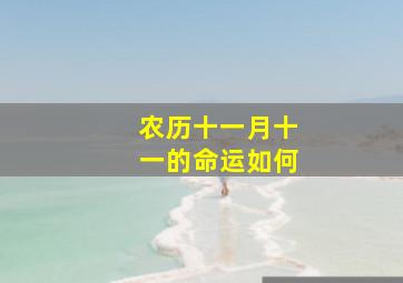 农历十一月十一的命运如何