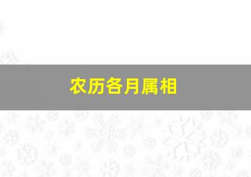 农历各月属相