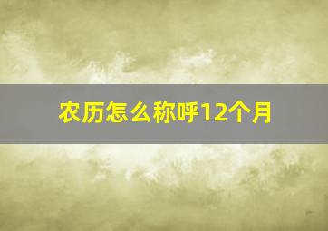 农历怎么称呼12个月