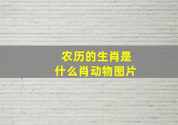 农历的生肖是什么肖动物图片