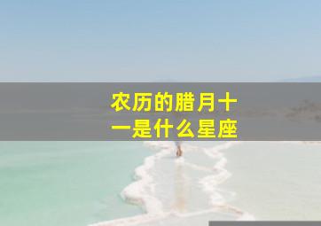 农历的腊月十一是什么星座