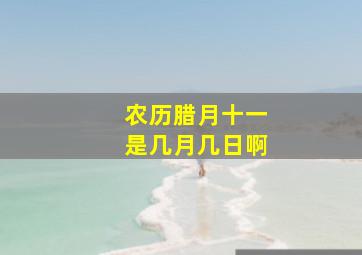 农历腊月十一是几月几日啊