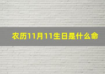 农历11月11生日是什么命