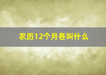 农历12个月各叫什么