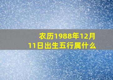 农历1988年12月11日出生五行属什么