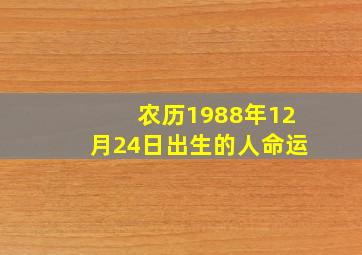 农历1988年12月24日出生的人命运