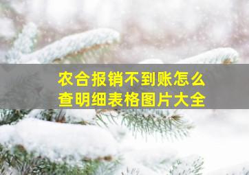 农合报销不到账怎么查明细表格图片大全