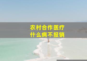 农村合作医疗什么病不报销