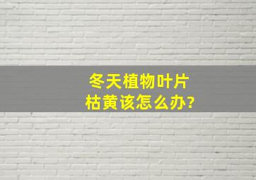 冬天植物叶片枯黄该怎么办?