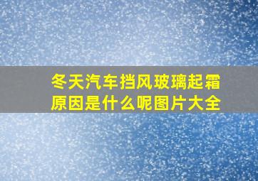 冬天汽车挡风玻璃起霜原因是什么呢图片大全