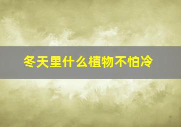 冬天里什么植物不怕冷