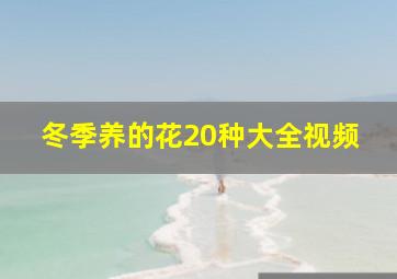 冬季养的花20种大全视频