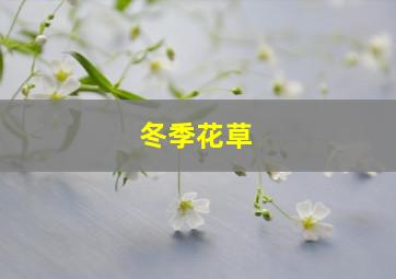 冬季花草