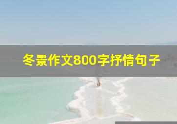 冬景作文800字抒情句子