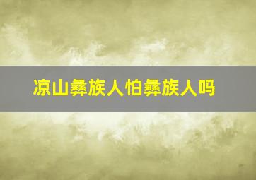 凉山彝族人怕彝族人吗