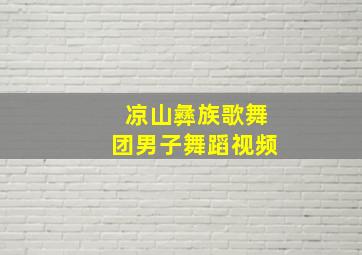 凉山彝族歌舞团男子舞蹈视频