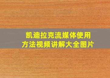 凯迪拉克流媒体使用方法视频讲解大全图片