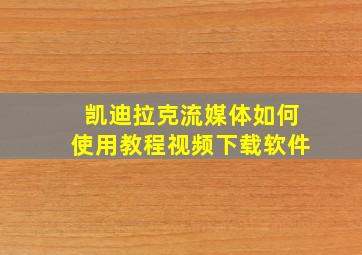 凯迪拉克流媒体如何使用教程视频下载软件