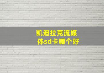 凯迪拉克流媒体sd卡哪个好