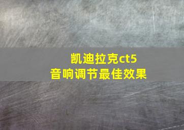 凯迪拉克ct5音响调节最佳效果