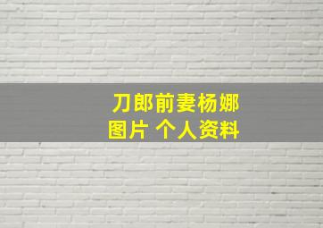 刀郎前妻杨娜图片+个人资料