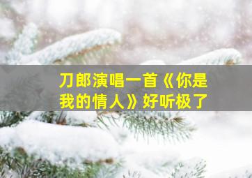 刀郎演唱一首《你是我的情人》好听极了