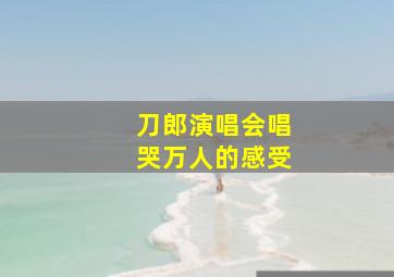 刀郎演唱会唱哭万人的感受