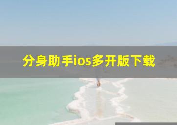 分身助手ios多开版下载