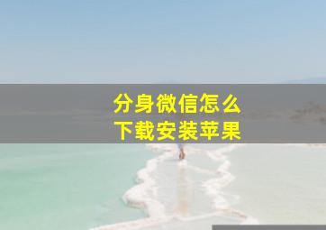 分身微信怎么下载安装苹果