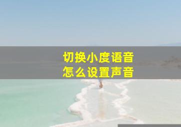 切换小度语音怎么设置声音