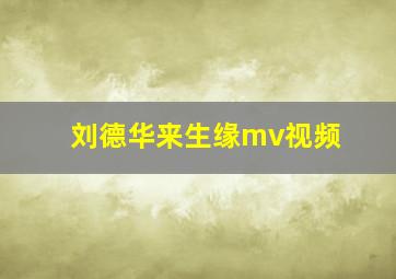 刘德华来生缘mv视频