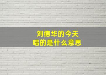 刘德华的今天唱的是什么意思