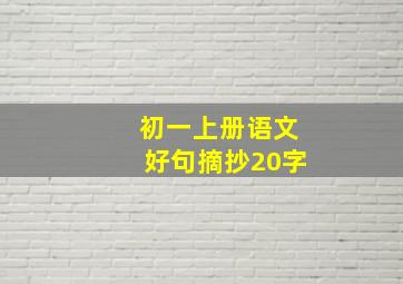 初一上册语文好句摘抄20字