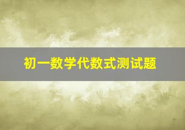 初一数学代数式测试题