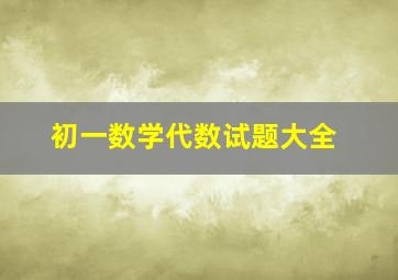 初一数学代数试题大全