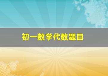 初一数学代数题目