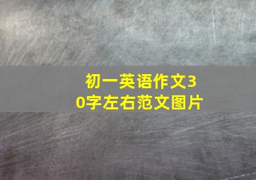 初一英语作文30字左右范文图片