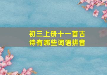 初三上册十一首古诗有哪些词语拼音